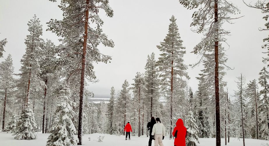 Singlereizen Finland